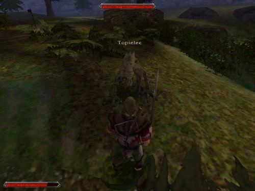 Gothic 2 001433,5